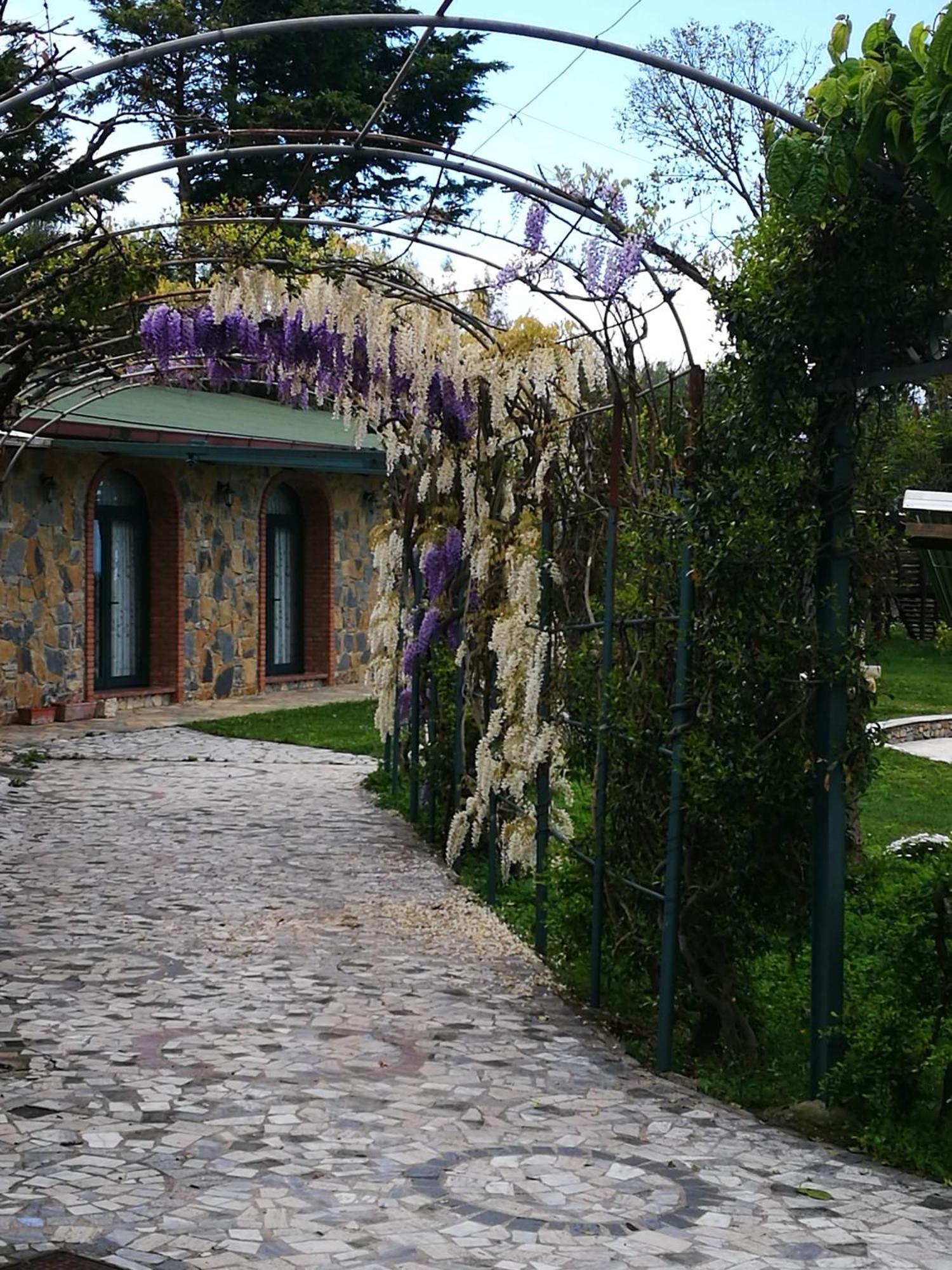 Residenza Giancesare Family Apartments Paestum Dış mekan fotoğraf